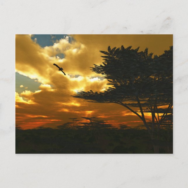 African Planes Postcard (Front)