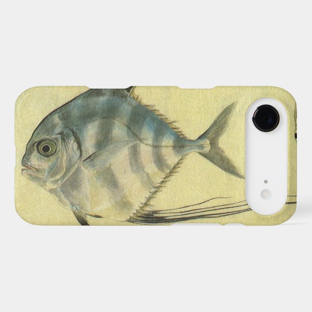 African Pompano Fish, Vintage Threadfin Trevally (Back (Horizontal))