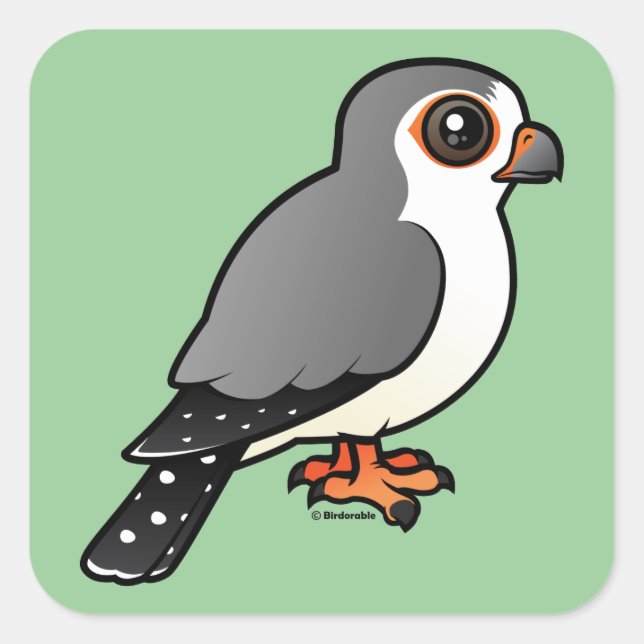 African Pygmy Falcon Square Sticker (Front)
