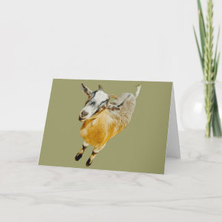 African Pygmy Goat Card