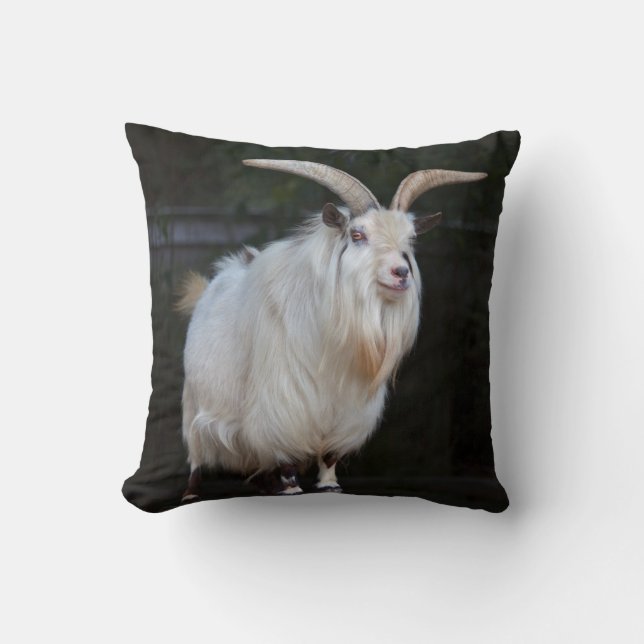 African Pygmy Goat Pillow (Front)