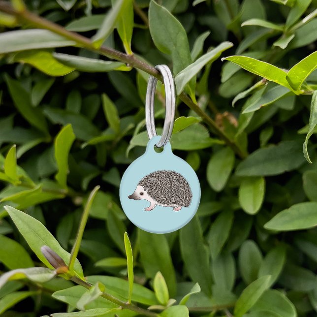 African Pygmy Hedgehog Cute Cartoon Illustration Pet Tag (Creator Uploaded)
