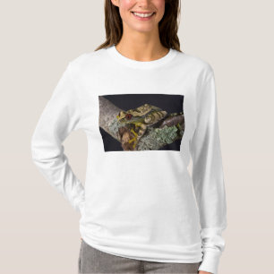 African Red Eye Treefrog, Leptopelis T-Shirt
