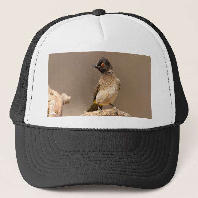 African Red-Eyed Bulbul Trucker Hat (Front)