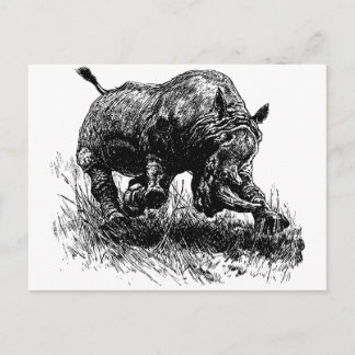 African Rhino Postcard