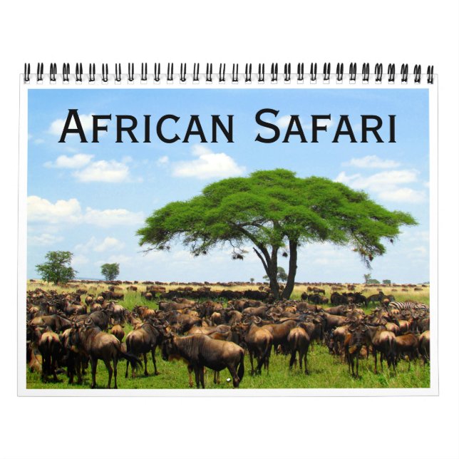 african safari 2027 calendar (Cover)