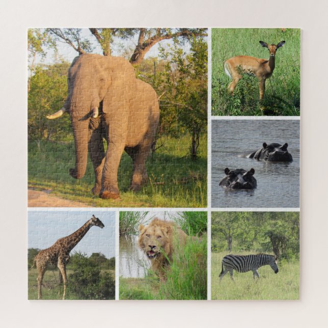 african safari collage jigsaw puzzle (Horizontal)