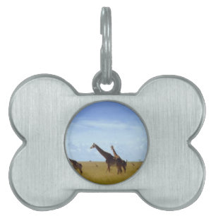 African Safari Giraffes Pet ID Tag