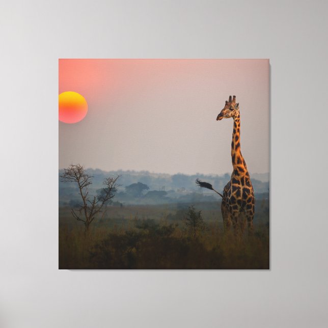 African Safari Landscape At Sunset  Canvas Print (Front)