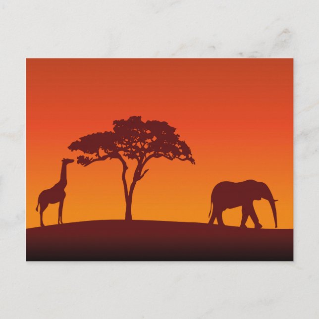 African Safari Silhouette - Postcard (Front)