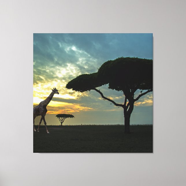 African Safari Sunset Stretched Canvas Print (Front)