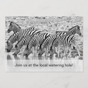 African Safari Zebra Funny Birthday Invitation