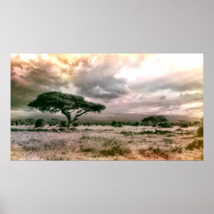 African Sahara Serengeti Savannah National Park Poster