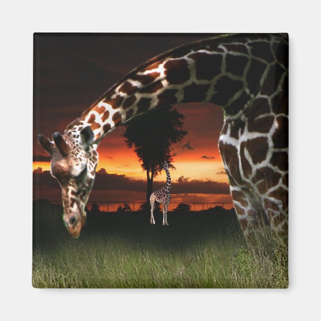 African School Field Magnet (Front)