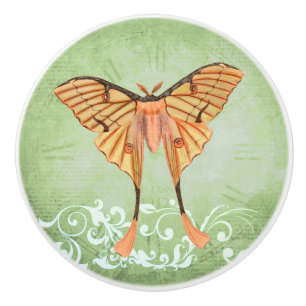 African Silk Moth Ceramic Knob