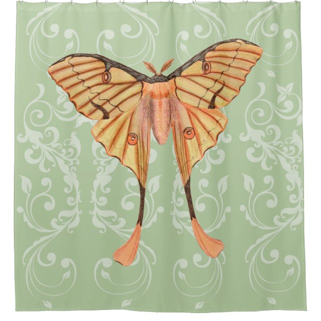 African Silk Moth Shower Curtain (Front)
