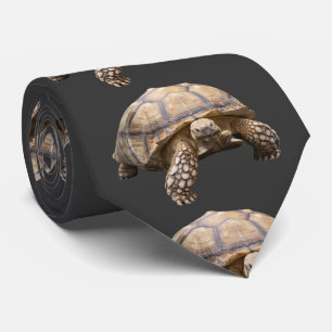 African spurred tortoise tie