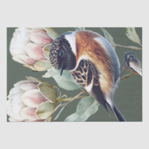 African Stonechat Bird Tissue Paper