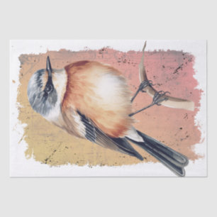 African Stonechat Bird Tissue Paper