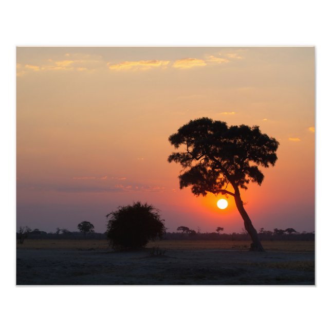 African Sunrise Photo Print (Front)