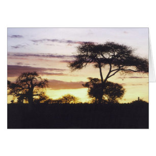 African Sunset