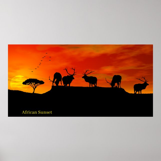 African Sunset image for Poster (Front)