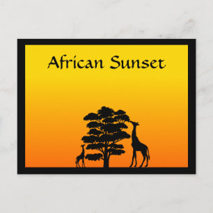 African Sunset Postcard