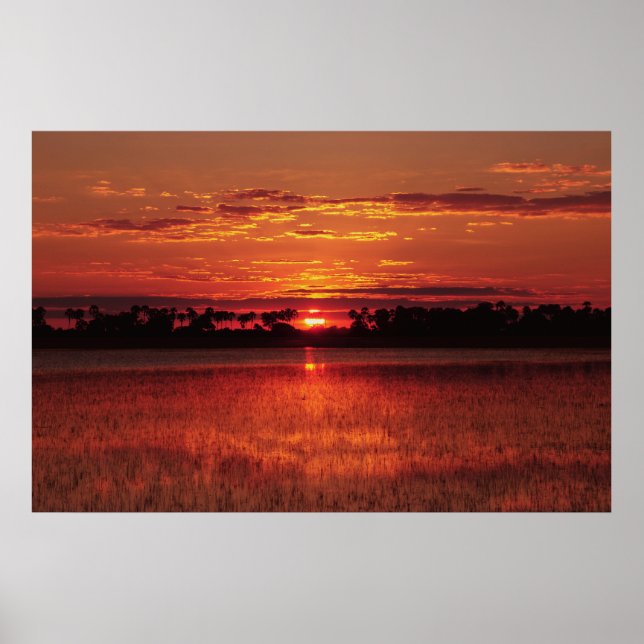 African sunset posters, prints, pictures & images poster (Front)