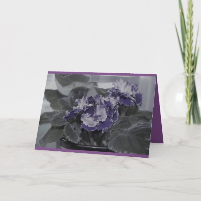 African Violet birthday Card (Front)
