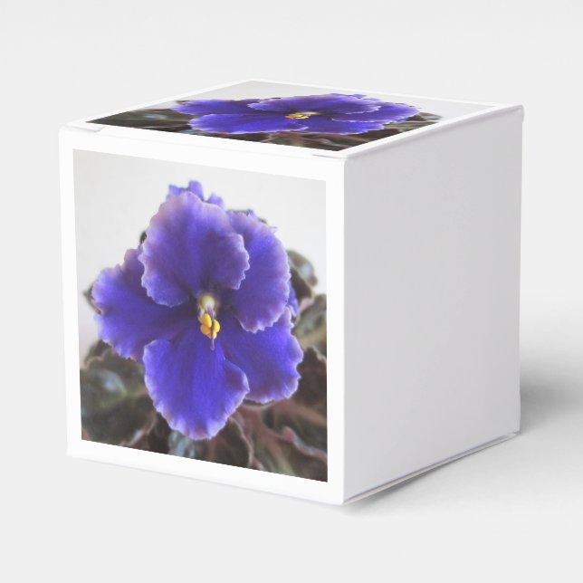 African Violet Blooming Favour Box (Front Side)