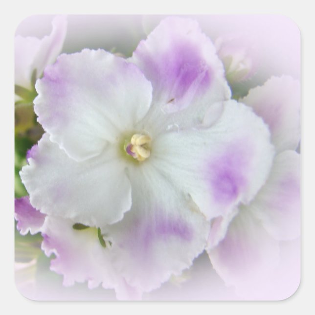 African Violet Blossom Square Sticker (Front)