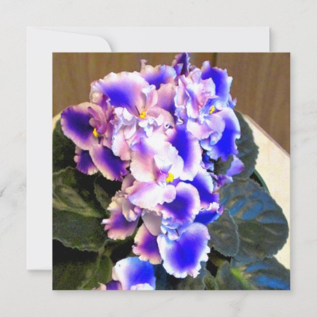 African Violet Blue Invitation (Front)