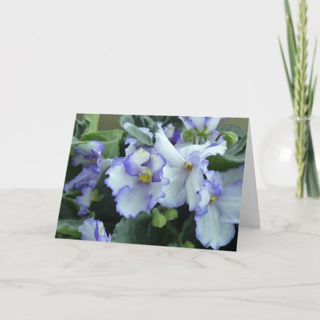 African Violet Card (Front)