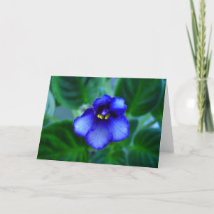 African Violet Card
