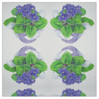 African Violet