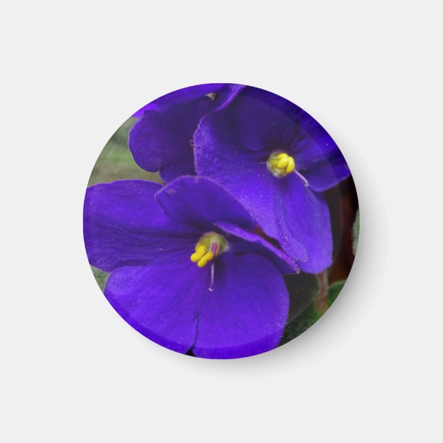 African Violet Magnet (Front)