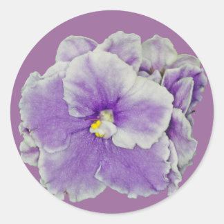 African Violet Purple Classic Round Sticker