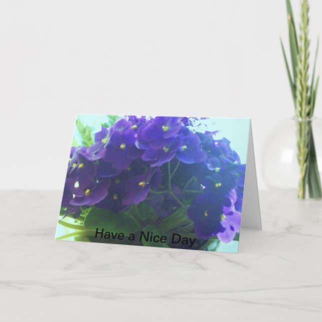 African Violets Card (Front)