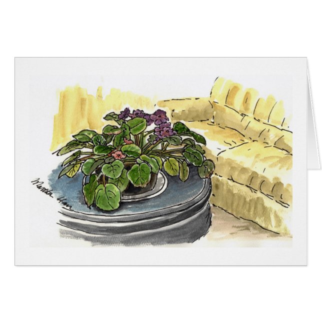African Violets Cards (Front Horizontal)