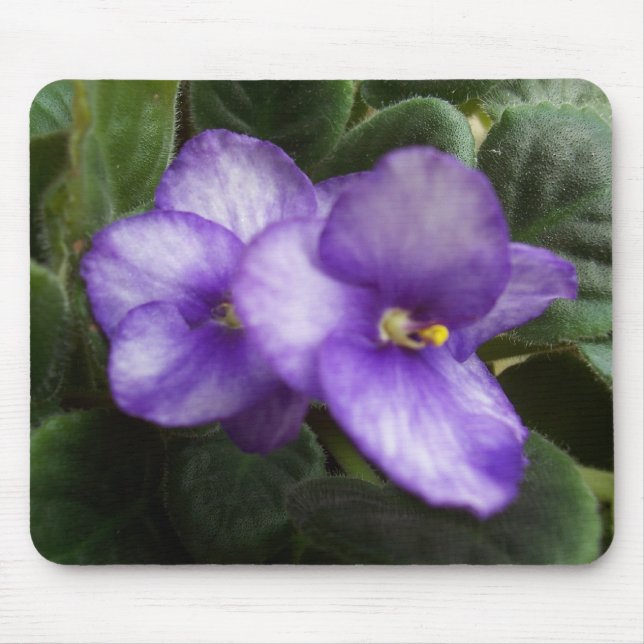 African Violets Mousepad (Front)