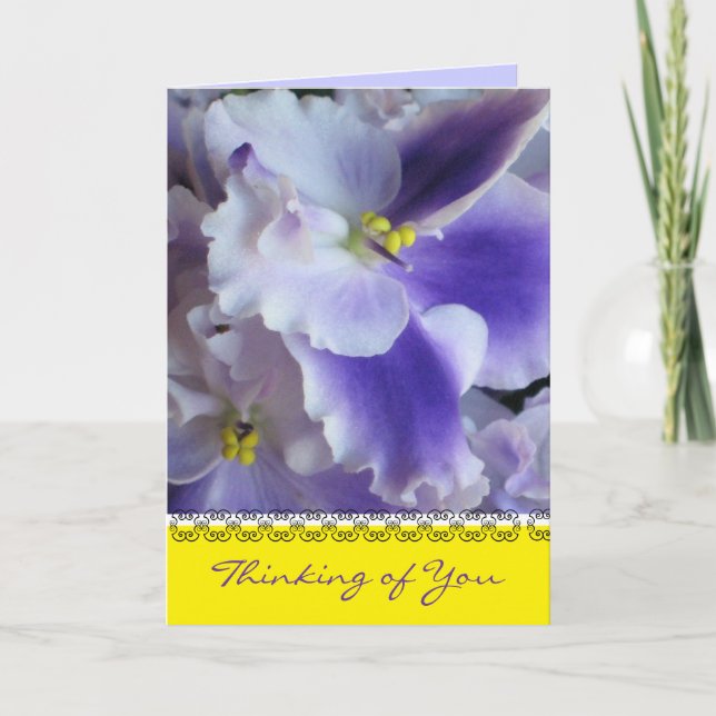 African Violets Thinking of You Card (Front)