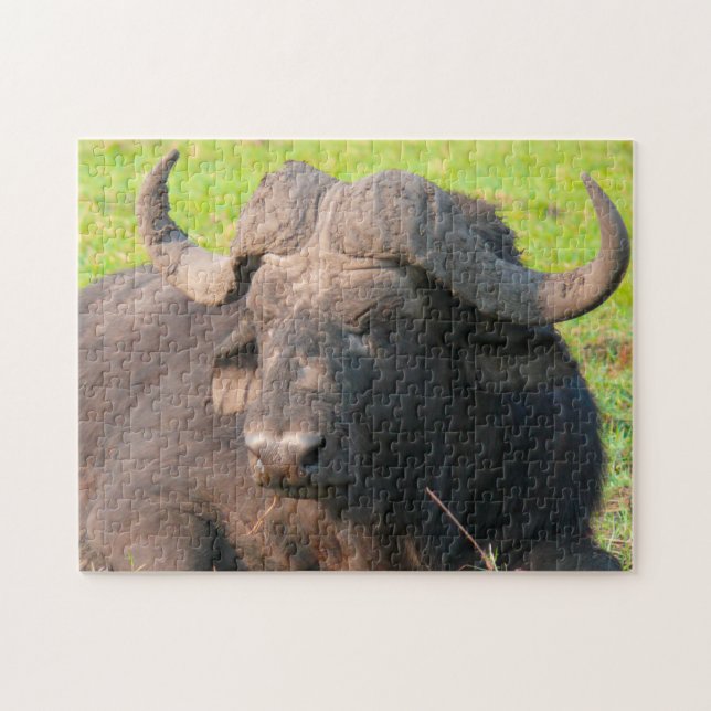 African Water Buffalo. Jigsaw Puzzle (Horizontal)