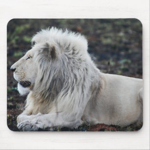African White Lion Profile photo Mouse Pad