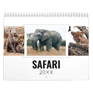 African Wild Animals Safari Photos The Big Five Calendar