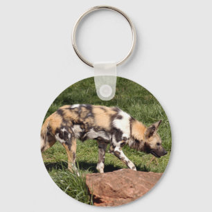 african-wild-dog-010 key ring