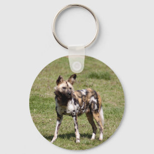 african-wild-dog-014 key ring