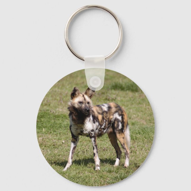 african-wild-dog-015 key ring (Front)
