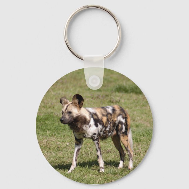 african-wild-dog-016 key ring (Front)