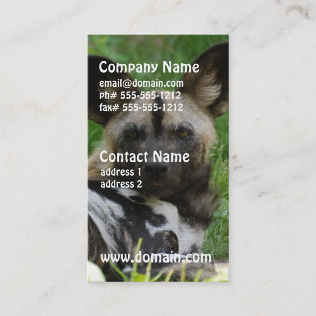 African Wild Dog Photo Business Cards (Front)