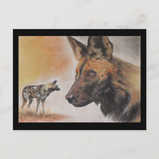 African Wild Dog Postcard